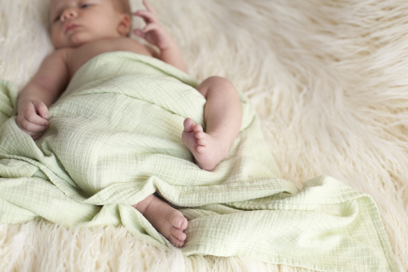 Newborn photo in Halifax by photographer, Amanda Speers