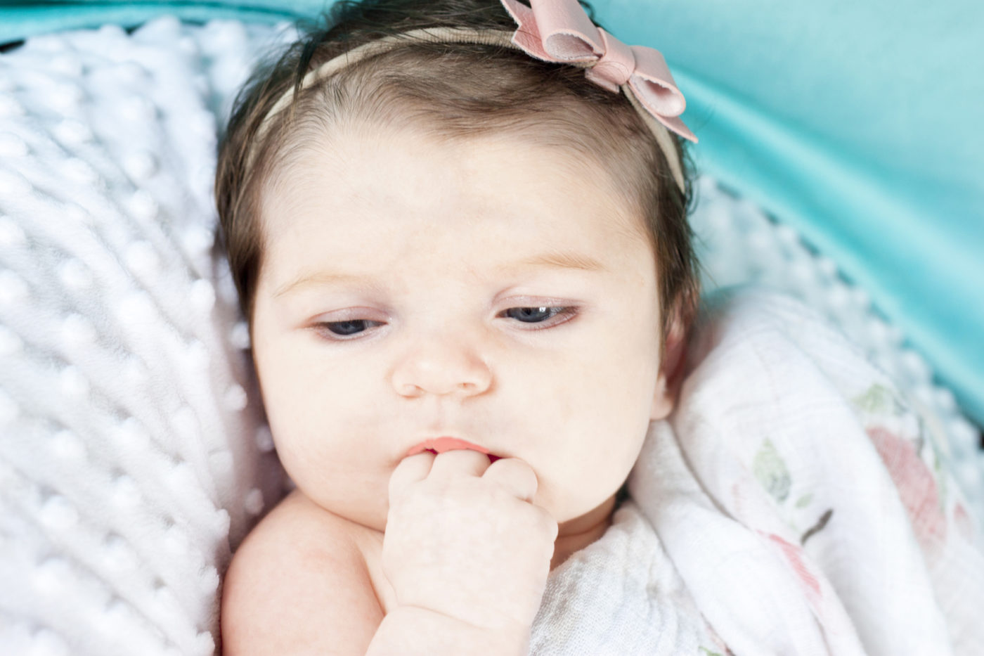 Newborn photo by Halifax photographer, Amanda Speers